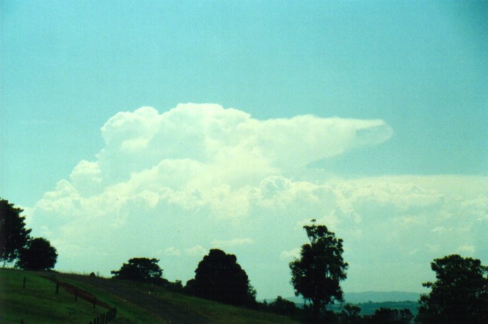 thunderstorm cumulonimbus_incus : McLeans Ridges, NSW   27 January 2001