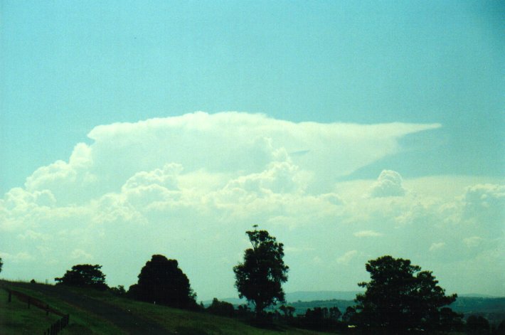 cumulus congestus : McLeans Ridges, NSW   27 January 2001