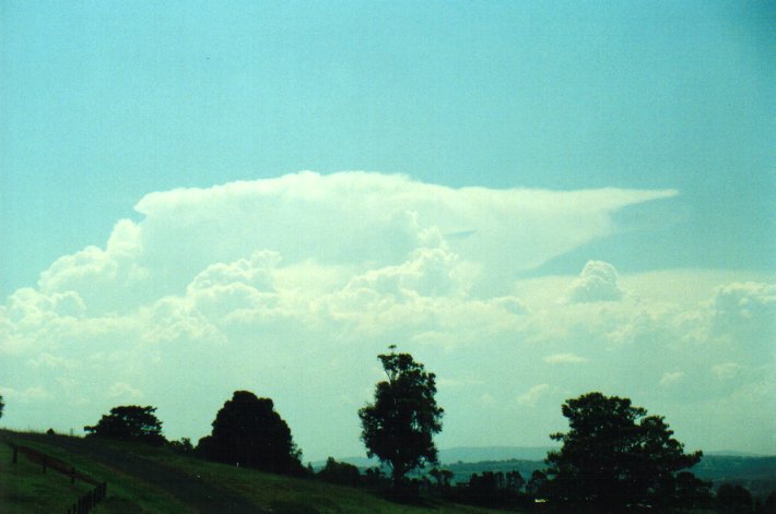 thunderstorm cumulonimbus_incus : McLeans Ridges, NSW   27 January 2001