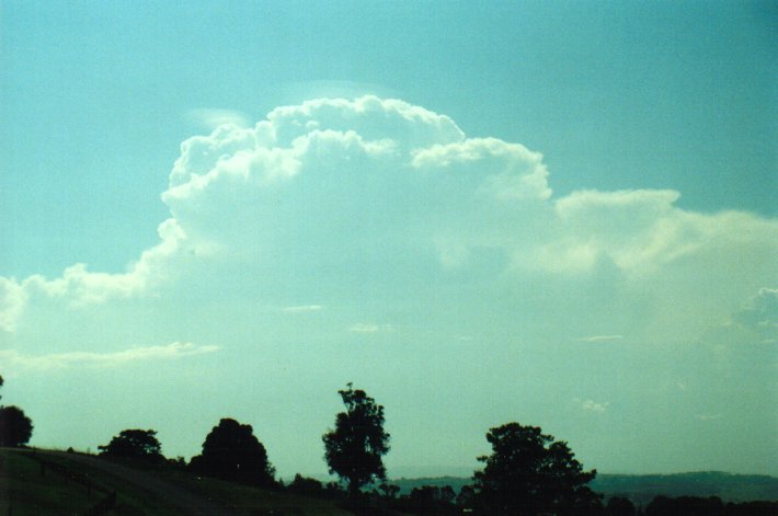 thunderstorm cumulonimbus_calvus : McLeans Ridges, NSW   27 January 2001