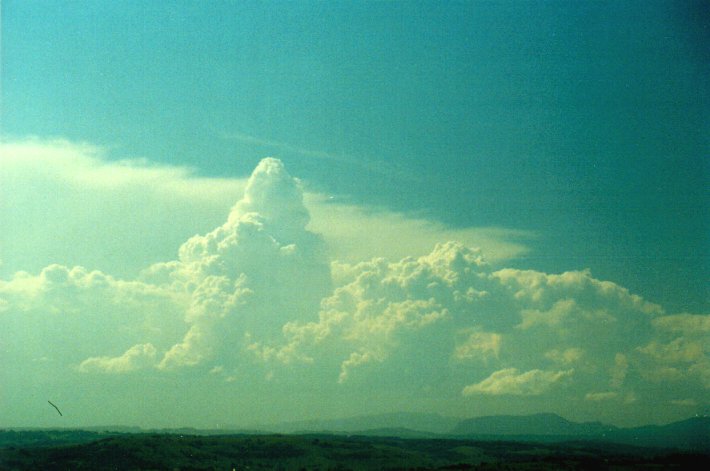 thunderstorm cumulonimbus_calvus : McLeans Ridges, NSW   27 January 2001