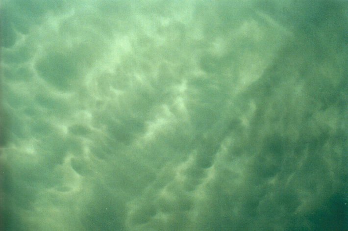 mammatus mammatus_cloud : Richmond Range, NSW   28 January 2001