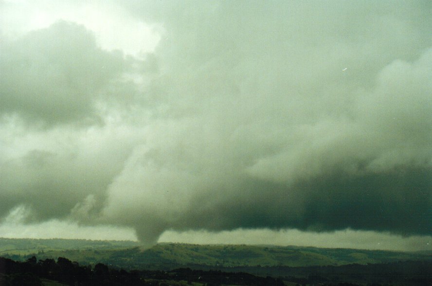 thunderstorm cumulonimbus_calvus : McLeans Ridges, NSW   29 January 2001