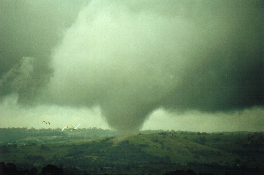 cumulonimbus thunderstorm_base : McLeans Ridges, NSW   29 January 2001