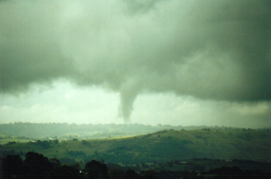 cumulonimbus thunderstorm_base : McLeans Ridges, NSW   29 January 2001