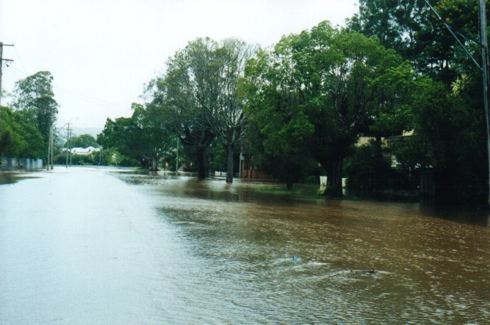 flashflooding flood_pictures : Lismore, NSW   2 February 2001