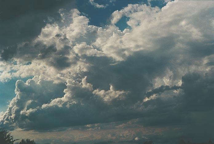 thunderstorm cumulonimbus_calvus : Pittown, NSW   28 February 2001