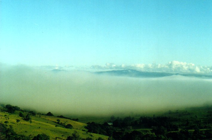 fogmist fog_mist_frost : McLeans Ridges, NSW   28 February 2001