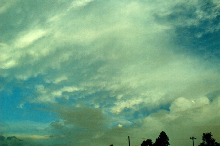 mammatus mammatus_cloud : McLeans Ridges, NSW   5 March 2001