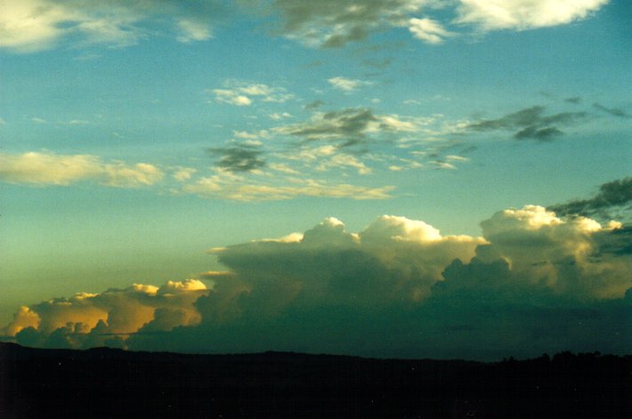 favourites michael_bath : McLeans Ridges, NSW   9 March 2001