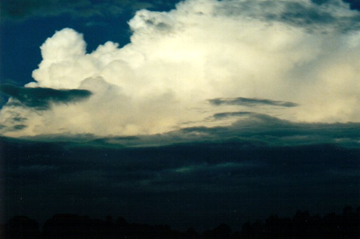 thunderstorm cumulonimbus_incus : McLeans Ridges, NSW   26 March 2001