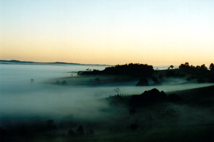 fogmist fog_mist_frost : McLeans Ridges, NSW   20 April 2001