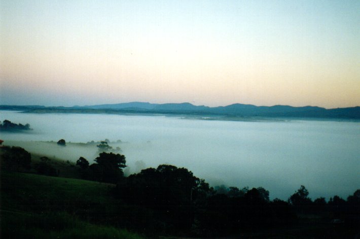 fogmist fog_mist_frost : McLeans Ridges, NSW   20 April 2001