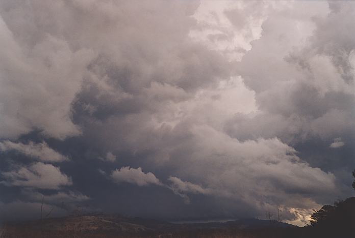 contributions received : near Willow Tree, NSW<BR>Photo by Geoff Thurtell   22 April 2001