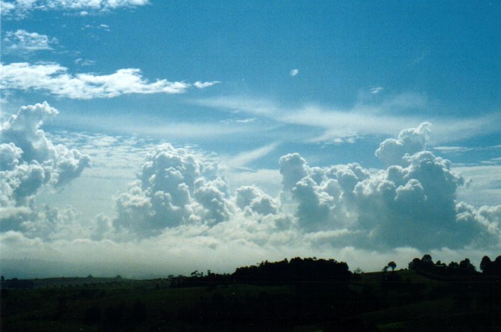 cumulus congestus : McLeans Ridges, NSW   26 April 2001