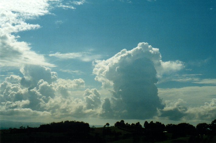 cumulus congestus : McLeans Ridges, NSW   26 April 2001