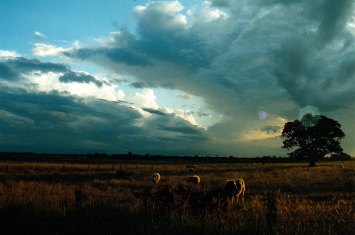 thunderstorm cumulonimbus_calvus : E of Casino, NSW   28 April 2001