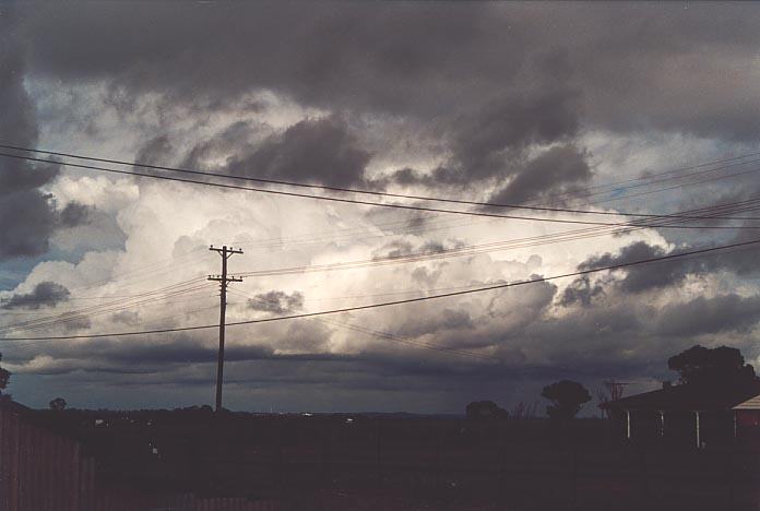 thunderstorm cumulonimbus_calvus : Schofields, NSW   1 May 2001