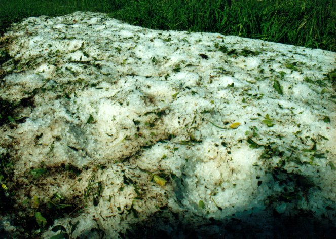 hailstones hail_stones : Wollongbar, NSW   7 May 2001