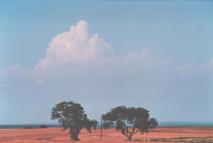 thunderstorm cumulonimbus_calvus : Childress, Texas, USA   26 May 2001