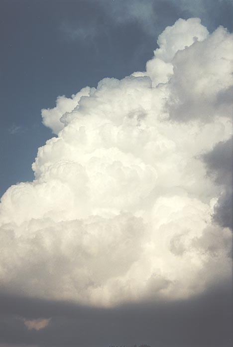 thunderstorm cumulonimbus_calvus : S of Harper, Kansas, USA   3 June 2001
