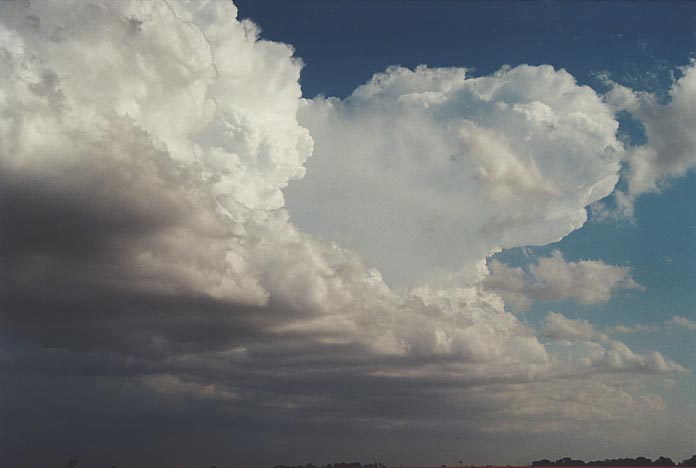 thunderstorm cumulonimbus_calvus : Harper, Kansas, USA   4 June 2001