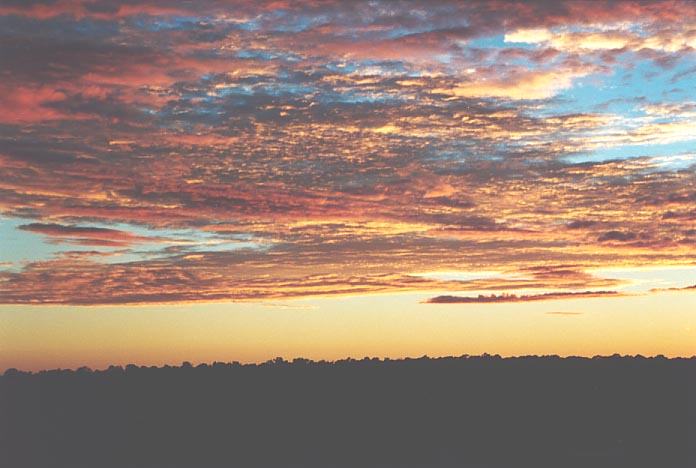 altocumulus altocumulus_cloud : Schofields, NSW   12 June 2001