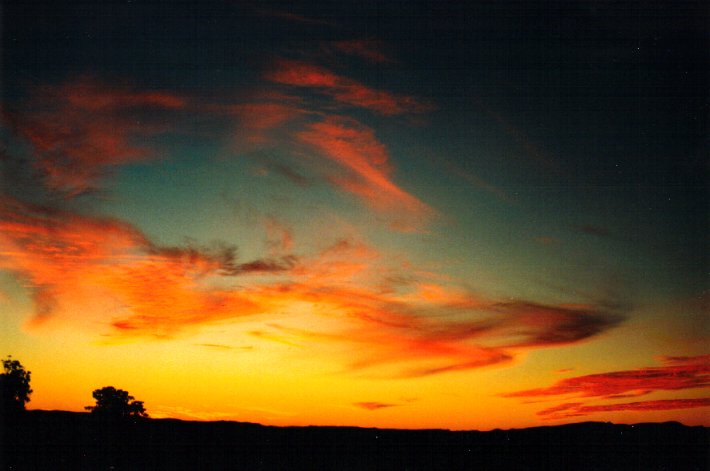 favourites michael_bath : McLeans Ridges, NSW   14 June 2001