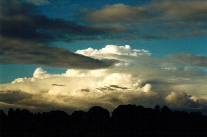 cumulus congestus : McLeans Ridges, NSW   1 July 2001