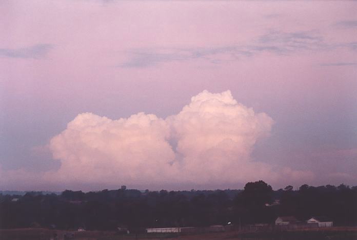 thunderstorm cumulonimbus_calvus : Schofields, NSW   2 July 2001