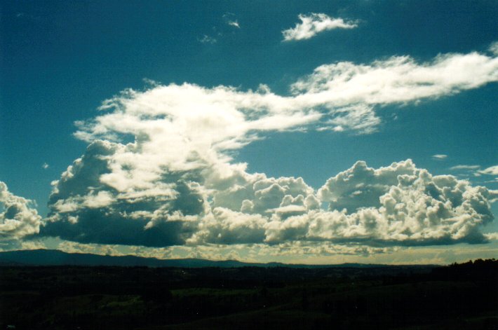 cumulus congestus : McLeans Ridges, NSW   3 July 2001
