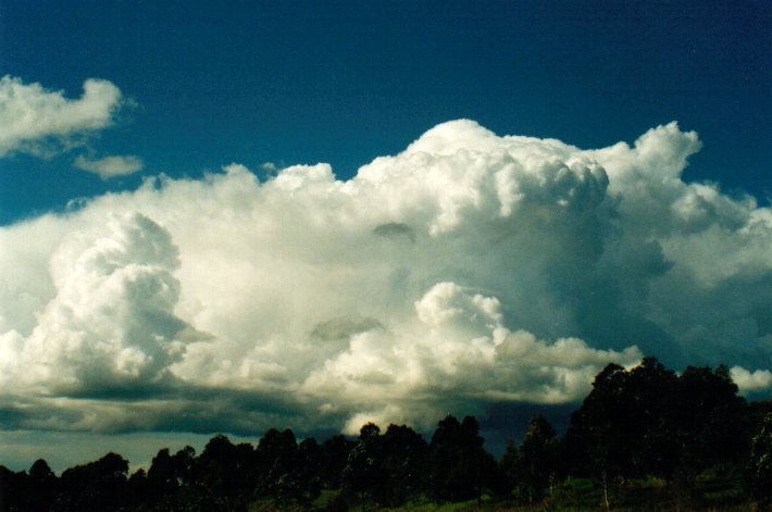 thunderstorm cumulonimbus_calvus : McLeans Ridges, NSW   3 July 2001