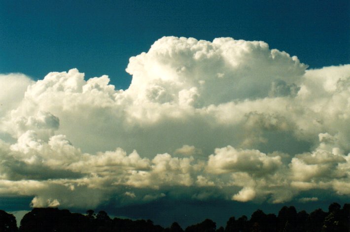 thunderstorm cumulonimbus_calvus : McLeans Ridges, NSW   3 July 2001