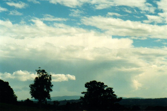 thunderstorm cumulonimbus_calvus : McLeans Ridges, NSW   6 July 2001