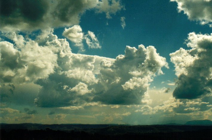 cumulus congestus : McLeans Ridges, NSW   6 July 2001