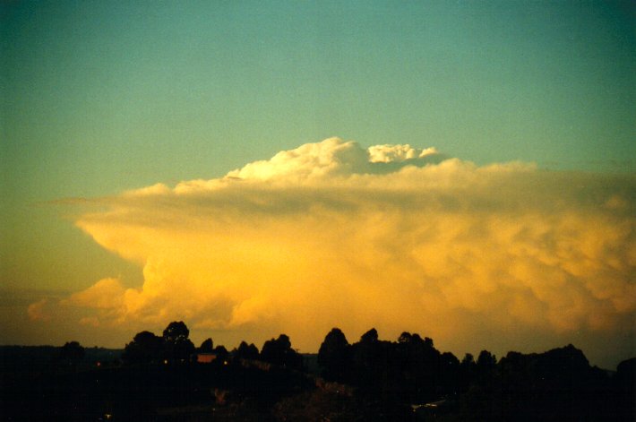 favourites michael_bath : McLeans Ridges, NSW   6 July 2001