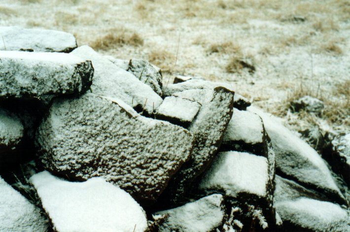 snow snow_pictures : Ben Lomond, NSW   8 July 2001