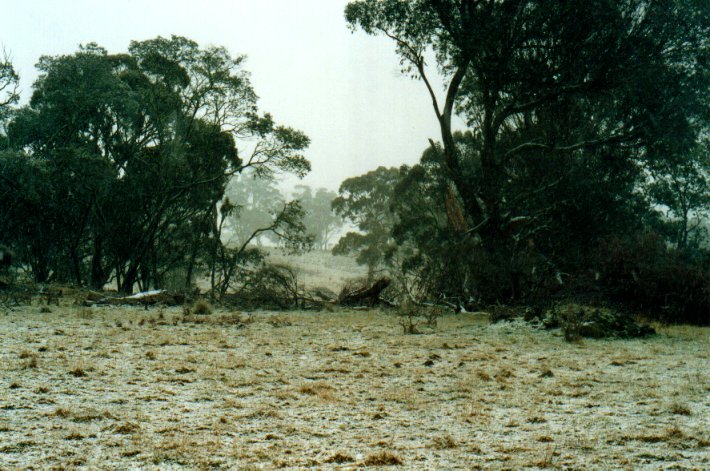 snow snow_pictures : Ben Lomond, NSW   8 July 2001