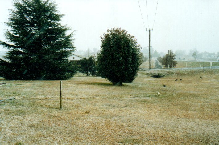 snow snow_pictures : Ben Lomond, NSW   8 July 2001