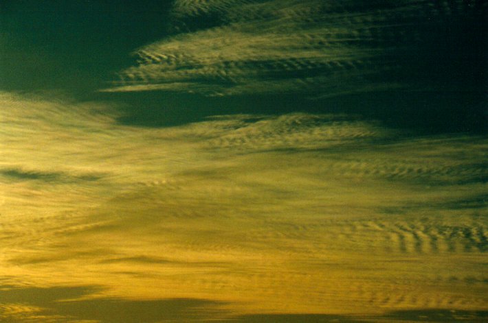 cirrocumulus cirrocumulus_cloud : McLeans Ridges, NSW   24 July 2001