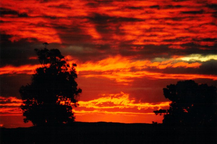 sunset sunset_pictures : McLeans Ridges, NSW   29 July 2001