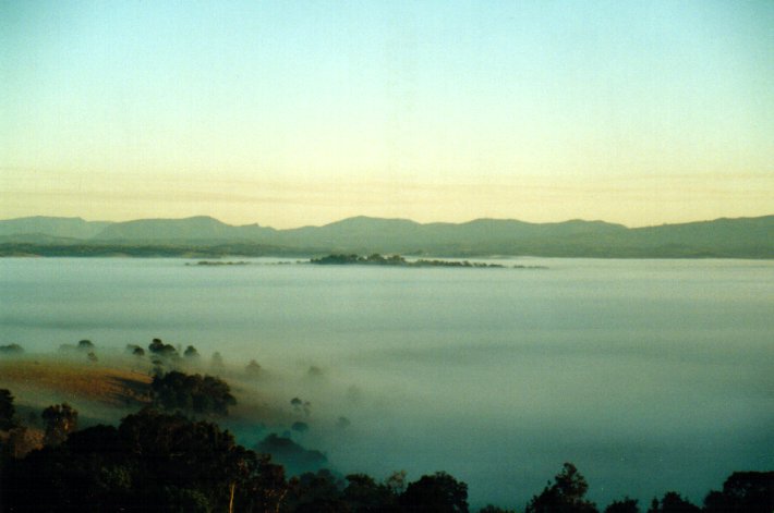 fogmist fog_mist_frost : McLeans Ridges, NSW   1 August 2001