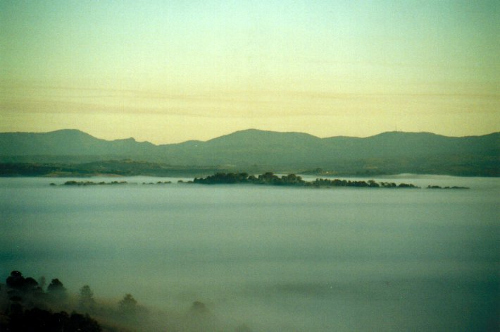 fogmist fog_mist_frost : McLeans Ridges, NSW   1 August 2001