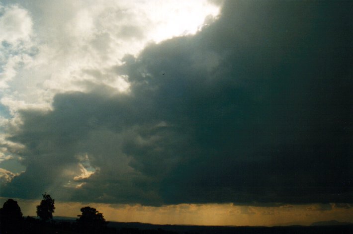 thunderstorm cumulonimbus_calvus : McLeans Ridges, NSW   13 August 2001