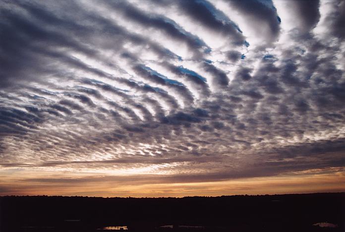 altocumulus undulatus : Schofields, NSW   16 August 2001