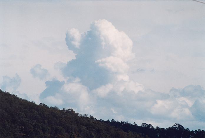 altostratus altostratus_cloud : Stroud, NSW   26 August 2001