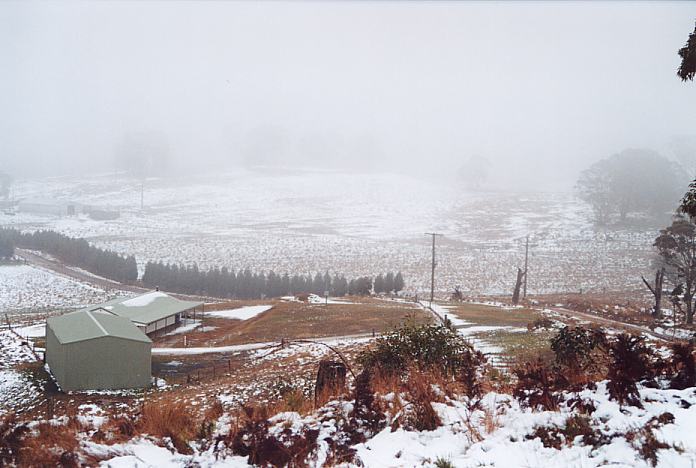 favourites jimmy_deguara : Mt Lambie, NSW   27 August 2001