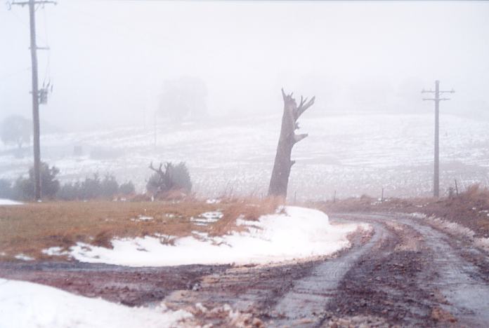 snow snow_pictures : Mt Lambie, NSW   27 August 2001