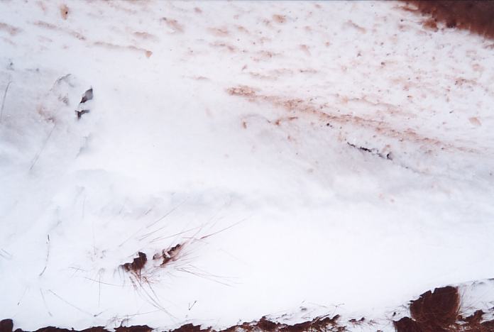 snow snow_pictures : Mt Lambie, NSW   27 August 2001