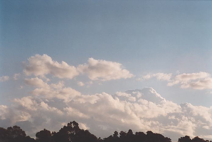 contributions received : near Jerrys Plains, NSW<BR>Photo by Geoff Thurtell   1 September 2001